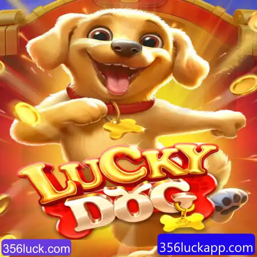 LuckyDog: Um Mergulho no Mundo dos Jogos de Azar com 356luck.com